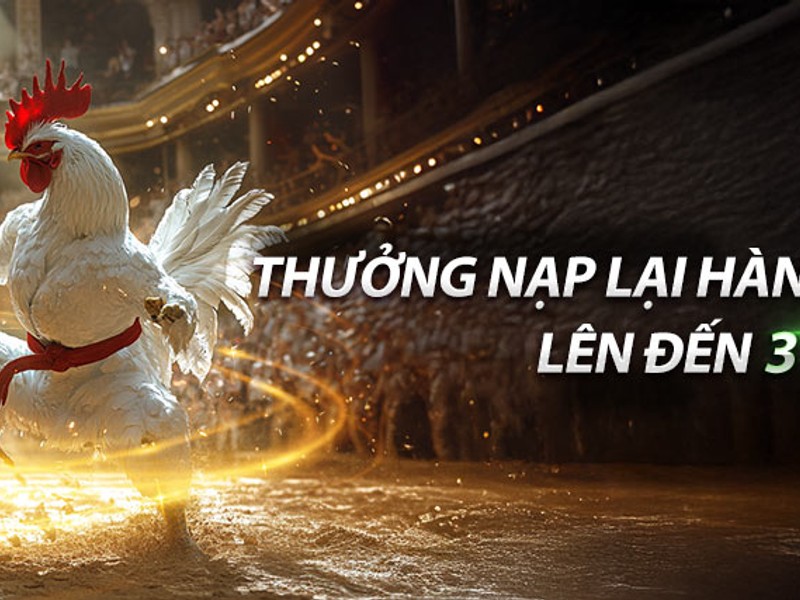 Tay cầm chơi game và màn hình e-sports