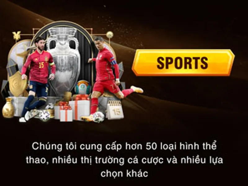 Cá cược Thể thao Okking